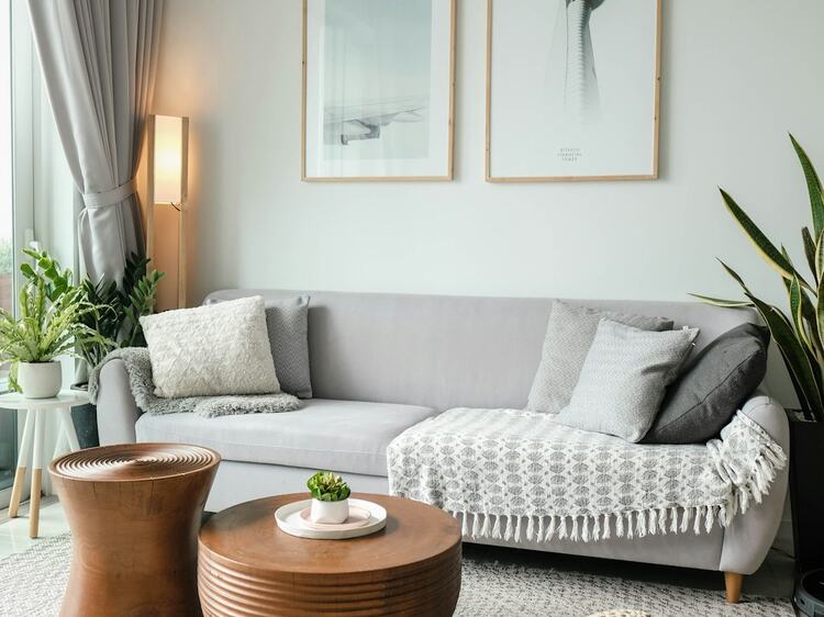 A sunlit living room with a textured area rug, grey sofa, and natural-light windows